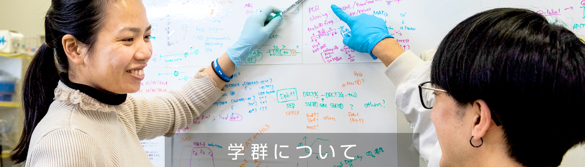 学群について