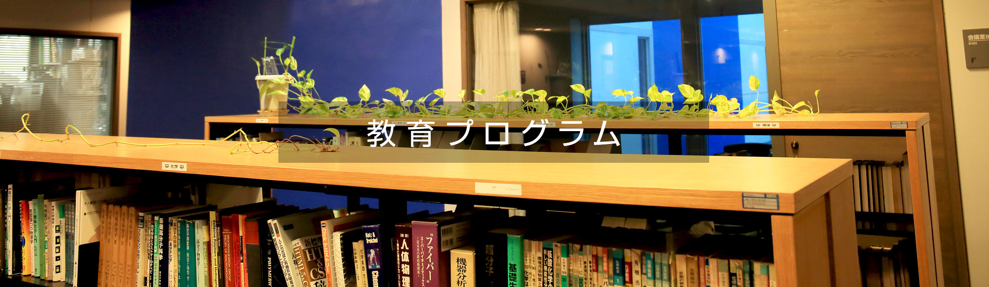 教育プログラム